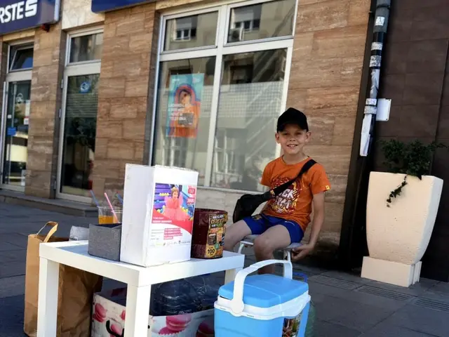 Nikola prodaje limunadu kako bi skupio novac za sestrino lečenje / foto: RINA