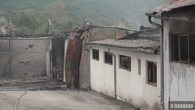 Veliki požar u fabrici nameštaja u Svrljigu - Foto: RINA