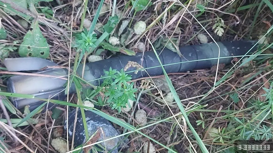 Dve ručne bombe, artiljerijski projektil i mina: Sve ovo je uništeno u Kragujevcu, aktiviran čitav tim operativaca