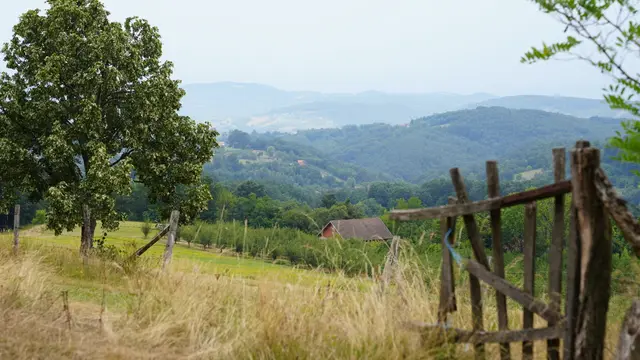 Selo Mušići kod Kosjerića / foto: RINA