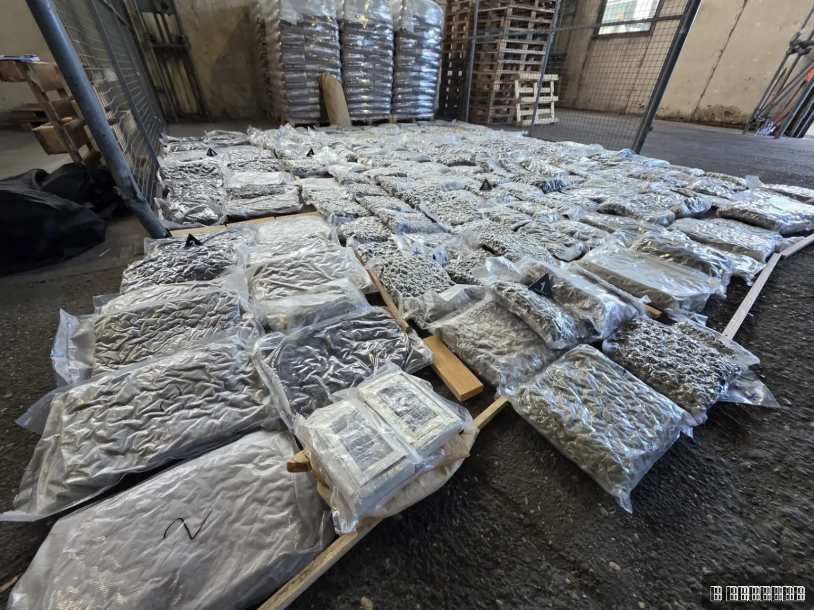 Na Batrovcima zaplenjeno oko 200 kilograma marihuane i 2,4 kilograma kokaina