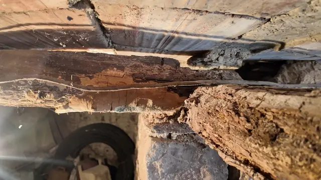 Zmije dočekale svojih pet minuta, foto: RINA