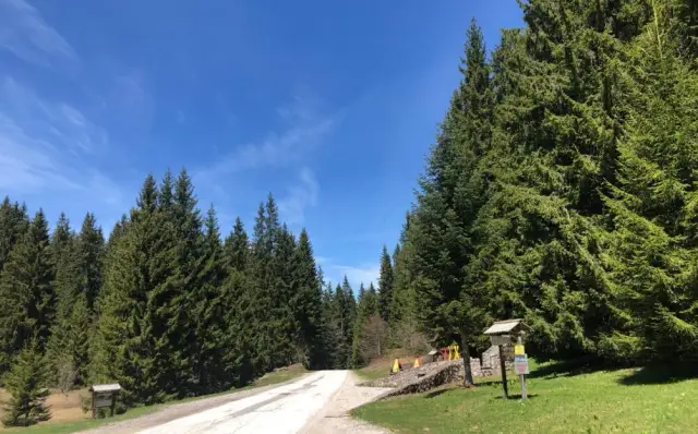 Planina Golija idealna za beg od vrućina / foto: RINA