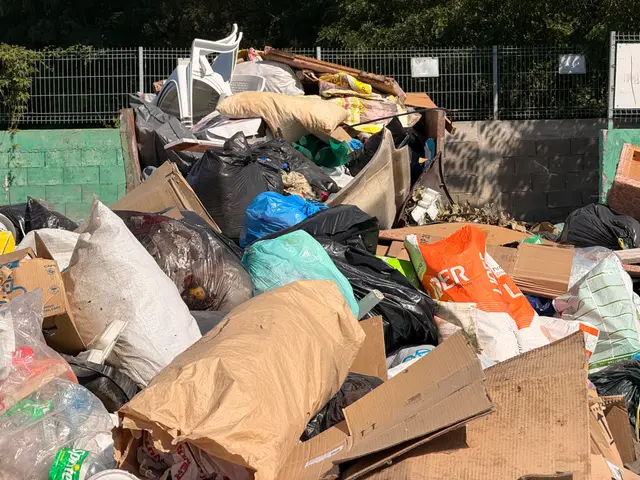 Deponija pored glavnog puta u selu Slatina, foto: RINA
