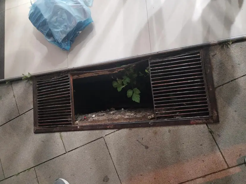 Umalo tragedija u centru Čačka: Vesna upala u otvorenu šahtu na Gradskom trgu, strahuje šta bi bilo da je dete nastradalo (FOTO)