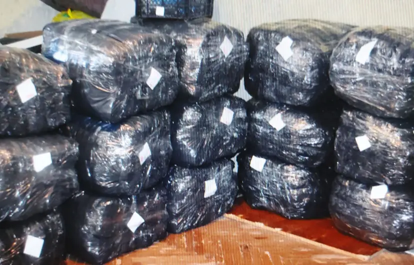 Velika zaplena u Novom Sadu: Policija u stanovima pronašla 17.200 lažnih etiketa, nalepnica i garderobe poznatih svetskih brendova (FOTO)