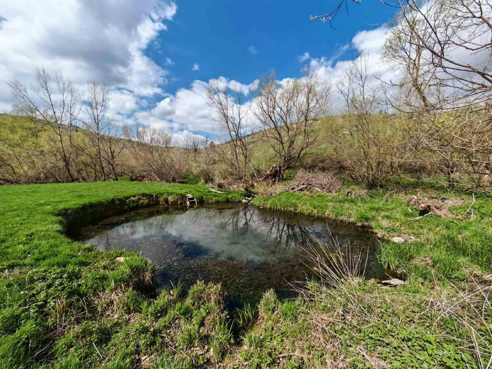 Ovo selo leži na termalnom blagu, nazivaju ih još i čedovske banjice: Decenijama se meštani leče na ovim izvorima - voda vruća usred zime (FOTO)