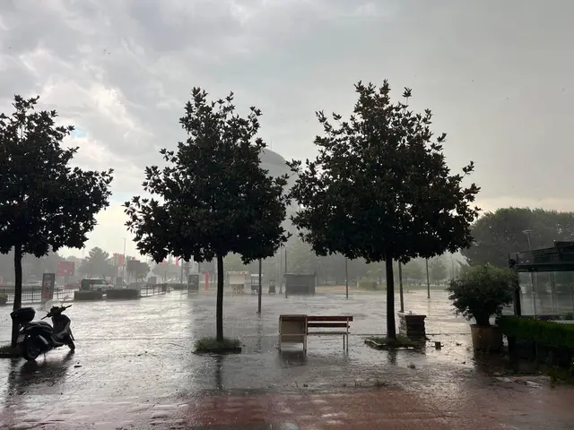 Jako olujno nevreme pogodilo Podgoricu / foto: RINA