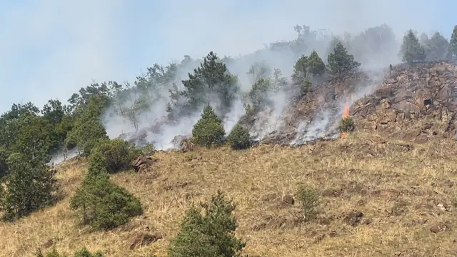 Veliki požari u Ibarskoj dolini / foto: RINA 