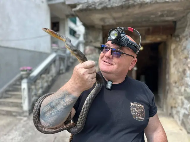 Zmije dočekale svojih pet minuta, foto: RINA