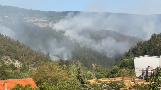Veliki požari u Ibarskoj dolini / foto: RINA