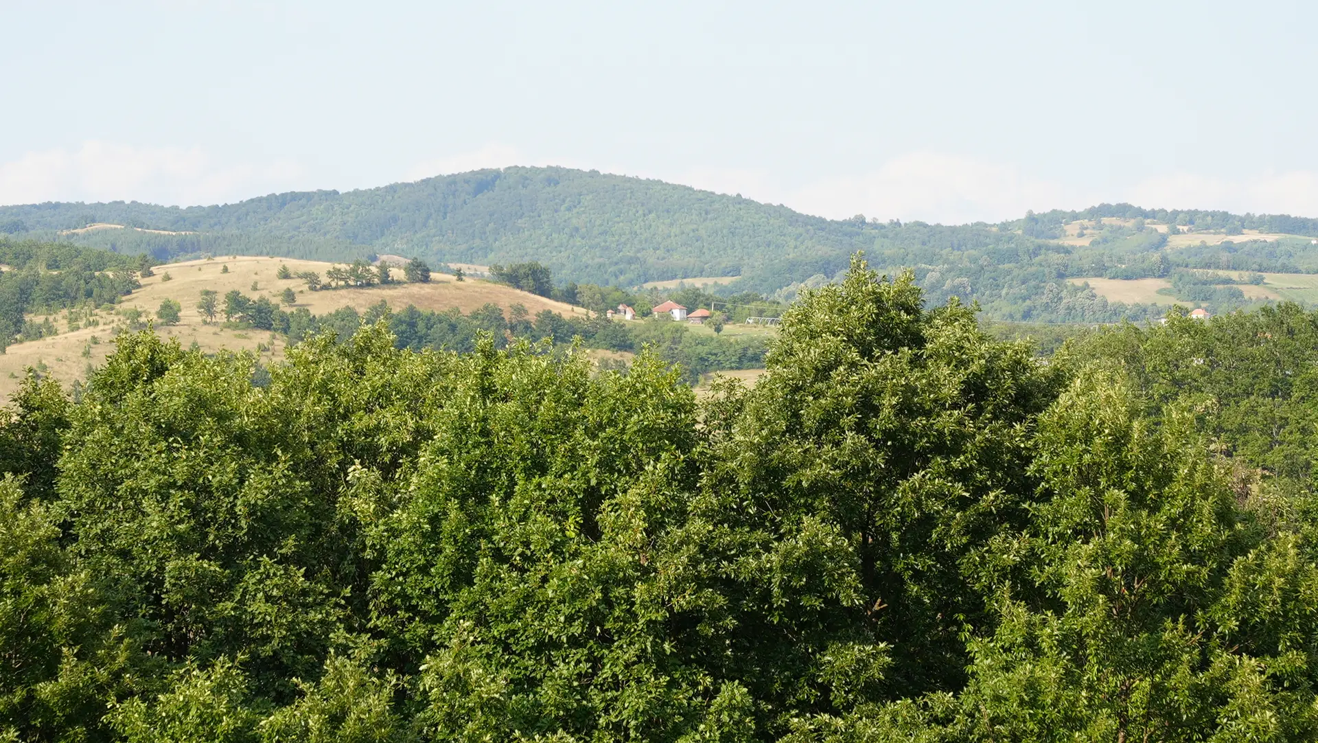 RHMZ upozorio na dugotrajan toplotni talas, temperatura lokalno do 40 stepeni