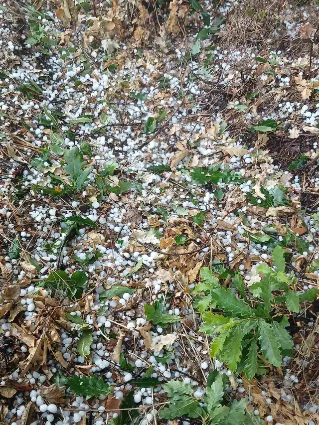 Snažan grad pogodio selo Prijevor kod Čačka/ Foto: RINA