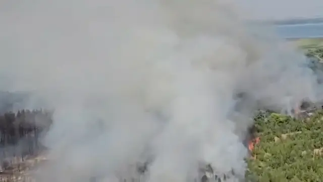 Foto: Mup Srbije, screenshot