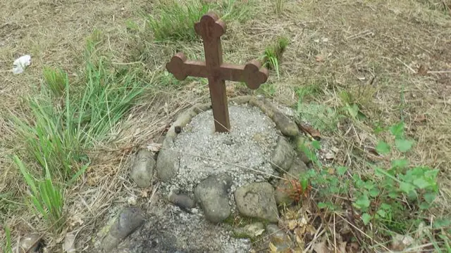 Neobična legenda vezana za šumu u selu Kotraža / foto: RINA