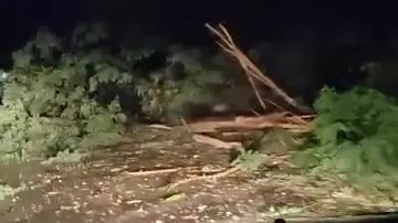 Grom napravio haos u prigradskom naselju Obrež kod Čačka: Pregoreli kućni aparati i internet ruteri, jaka oluja pokidala dreveće (FOTO)(VIDEO)