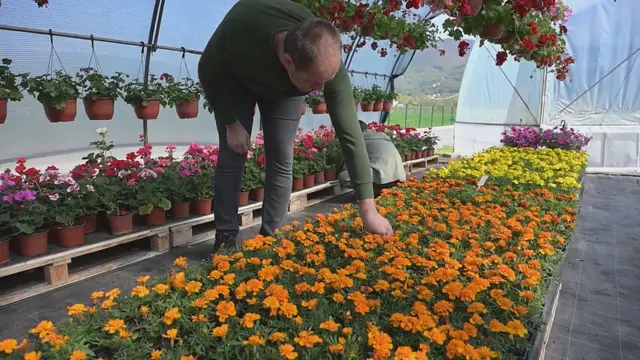 Od jednog plastenika do uspešnog rasadnika: porodice Tabašević i Jusović – Foto: RINA