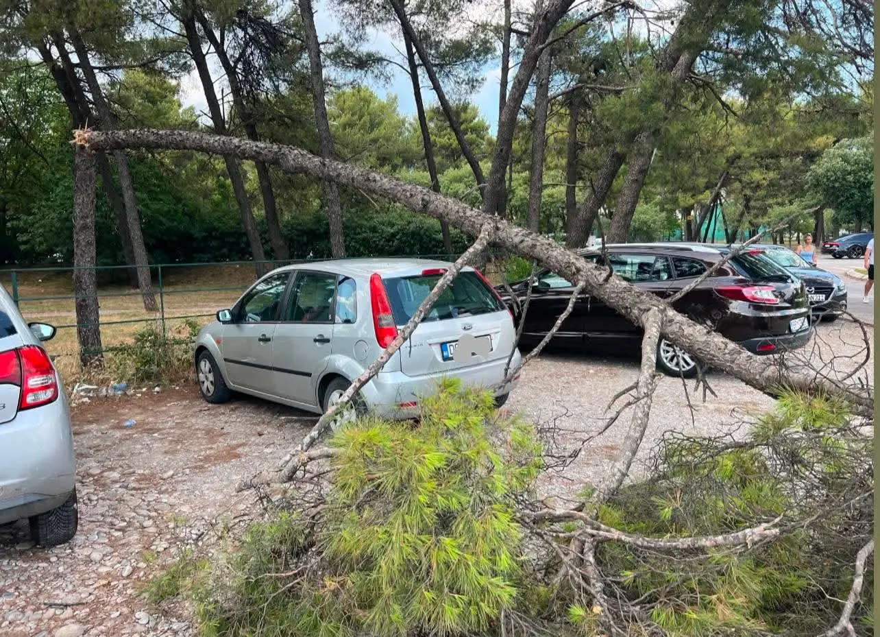 Vetar čupao drveće, jak grad tukao deset minuta: Nezapamćeno nevreme pogodilo Podgoricu nakon ogromne vrućine (FOTO)(VIDEO)