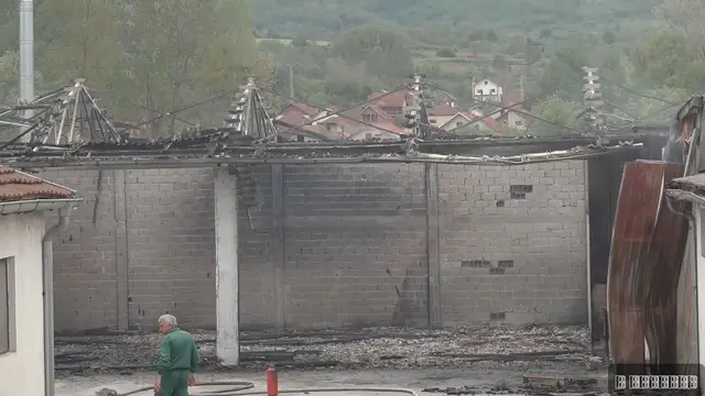 Veliki požar u fabrici nameštaja u Svrljigu - Foto: RINA