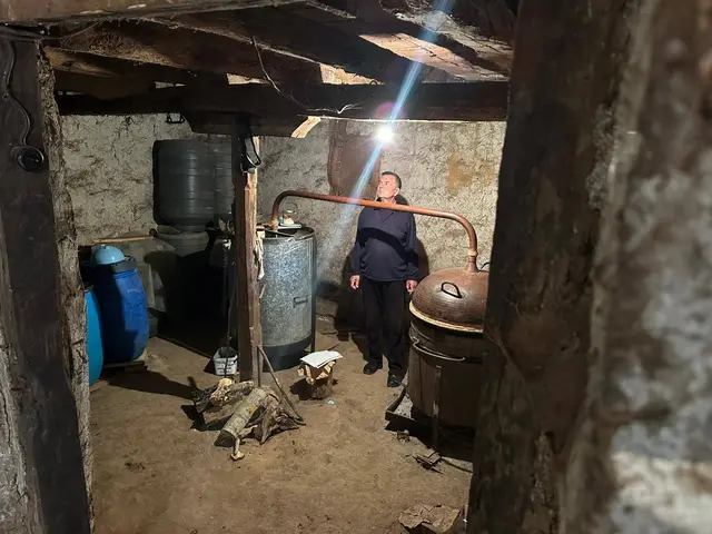 Zmije dočekale svojih pet minuta, foto: RINA