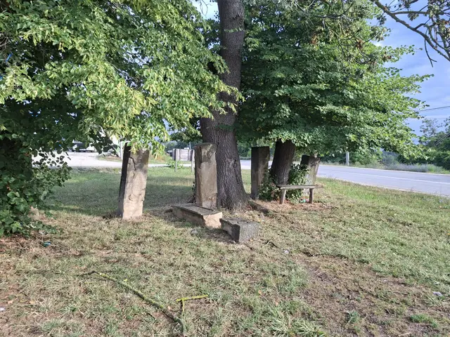 Još jedan spomenik krajputaš je pao - sa tim nestaje sećanje na naše pretke/ Foto: RINA