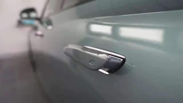 Čačanka Mina radi neverovatan posao i od luksuznih automobila pravi savršenstvo/ Foto: RINA