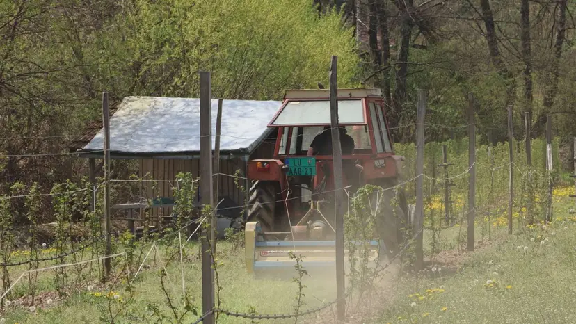 I vozi traktor, ali i otvara kapiju: Nakon smrti supruga Snežana na imanju sve radi sama (FOTO)