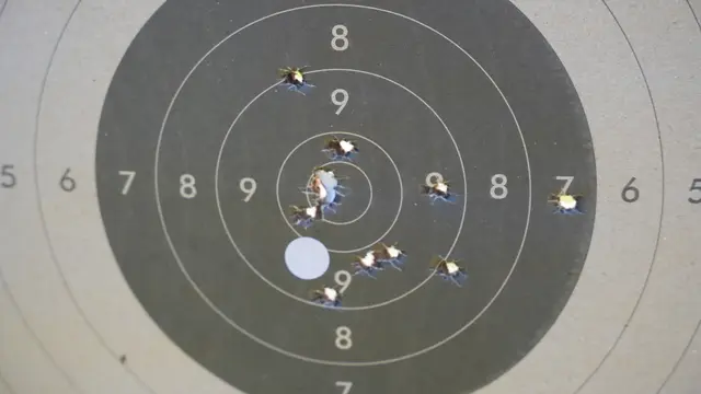 Foto: Jovan Nikolić