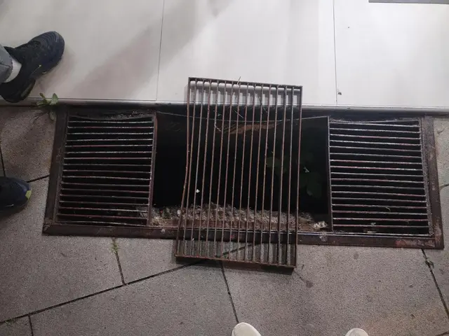 Vesna upala u otvoren šaht/ Foto: Privatna arhiva