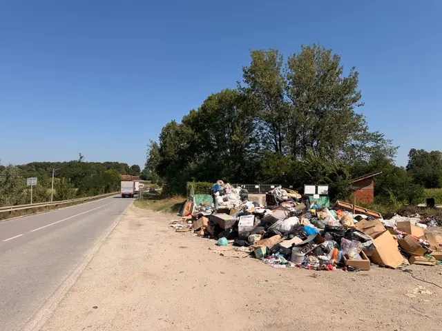 Deponija pored glavnog puta u selu Slatina, foto: RINA