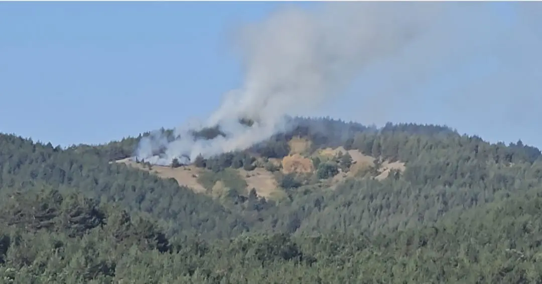 Ogroman požar u Gornjem Milanovcu: Vatra preti da proguta na stotine hektara borove šume (FOTO)(VIDEO)