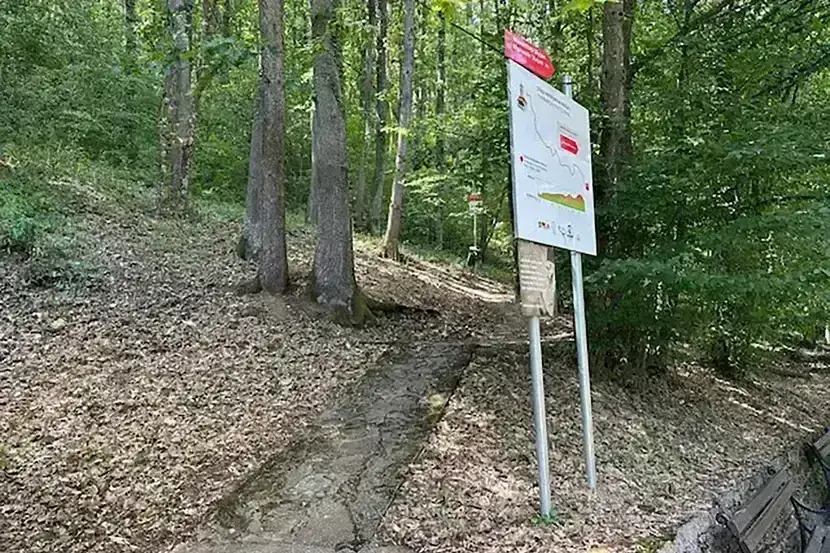 Ovo je jedna od najlepših pešačkih ruta u Srbiji: Staza patrijarha Pavla dugačka šest ipo kilometara i smeštena u prelepoj prirodi (FOTO)