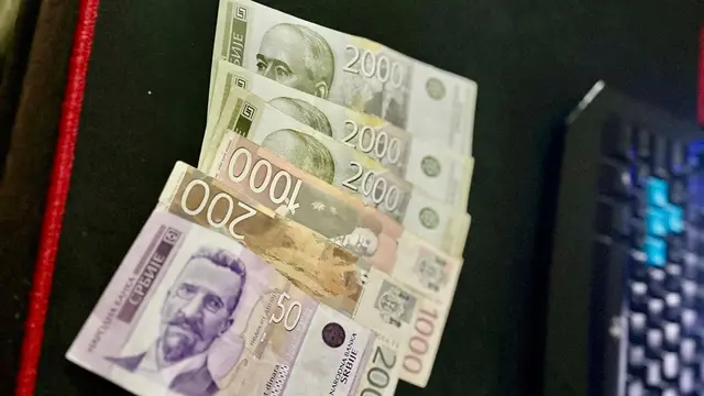 dinar-ilustracija-foto-rina-jovan-nikolic.jpeg