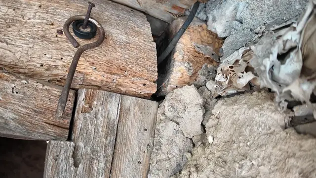 Zmije dočekale svojih pet minuta, foto: RINA