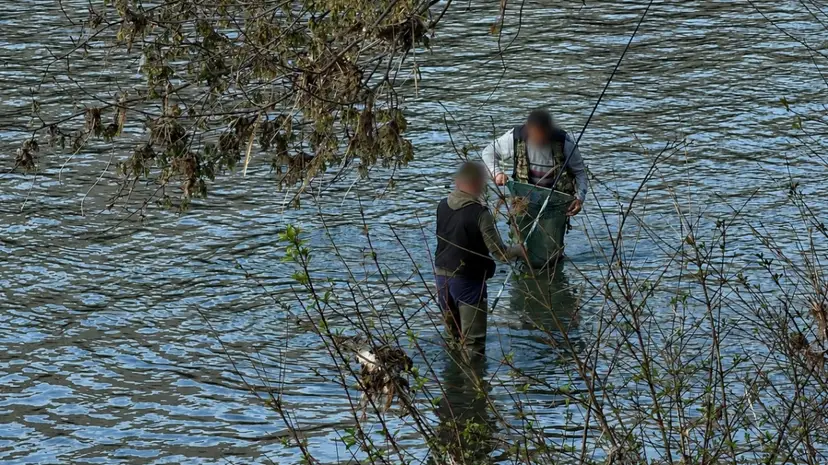 Tragedija kod Kraljeva: Pronađeno telo nestalog ribolovca u Zapadnoj Moravi