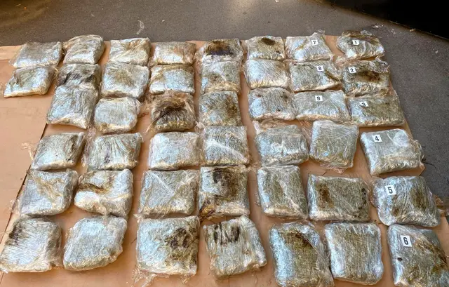 Zaplena 22 kilograma marihuane - Foto Ministarstvo unutrašnjih poslova Srbije
