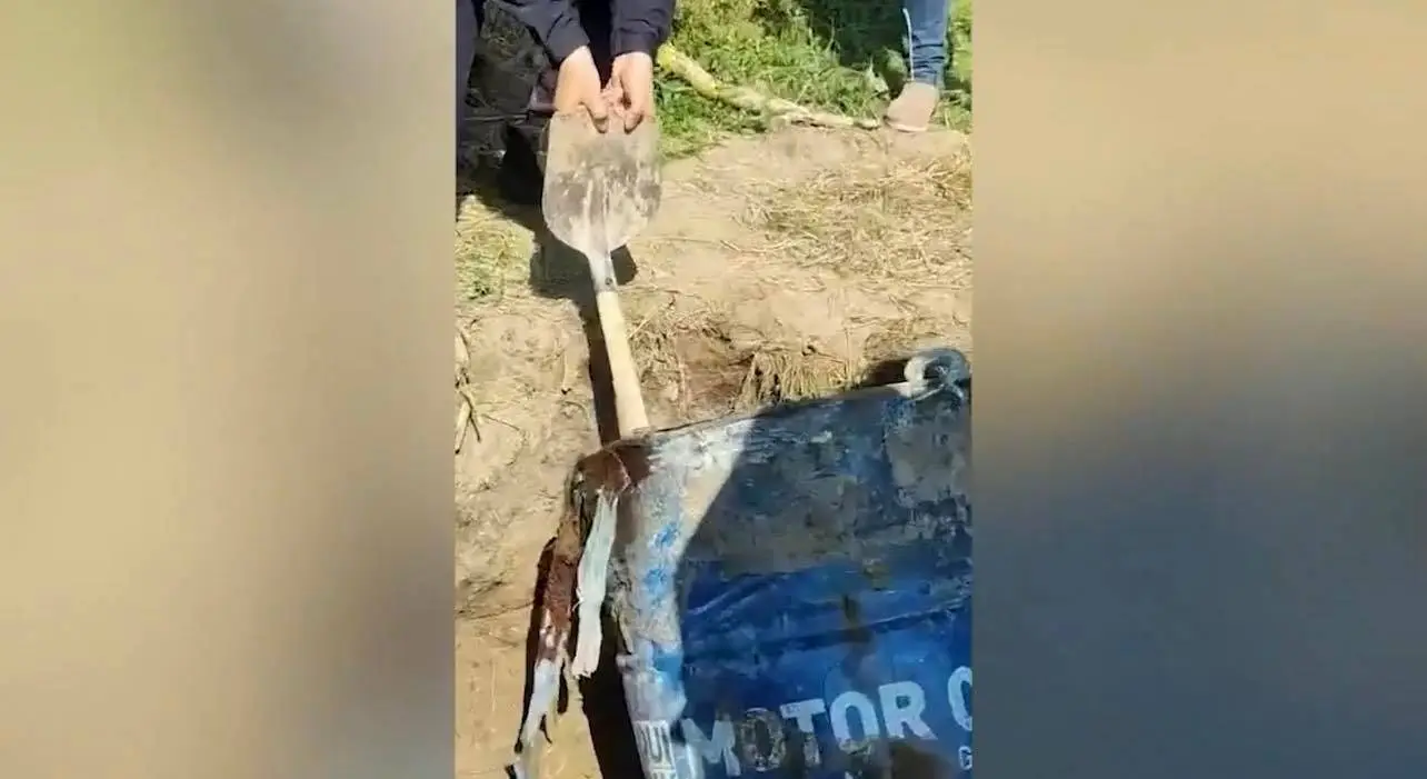 Jezivi prizori kod Inđije: Iskopano bure za koje se sumnja da je u njemu telo ubijenog Nešovića (FOTO)(VIDEO)