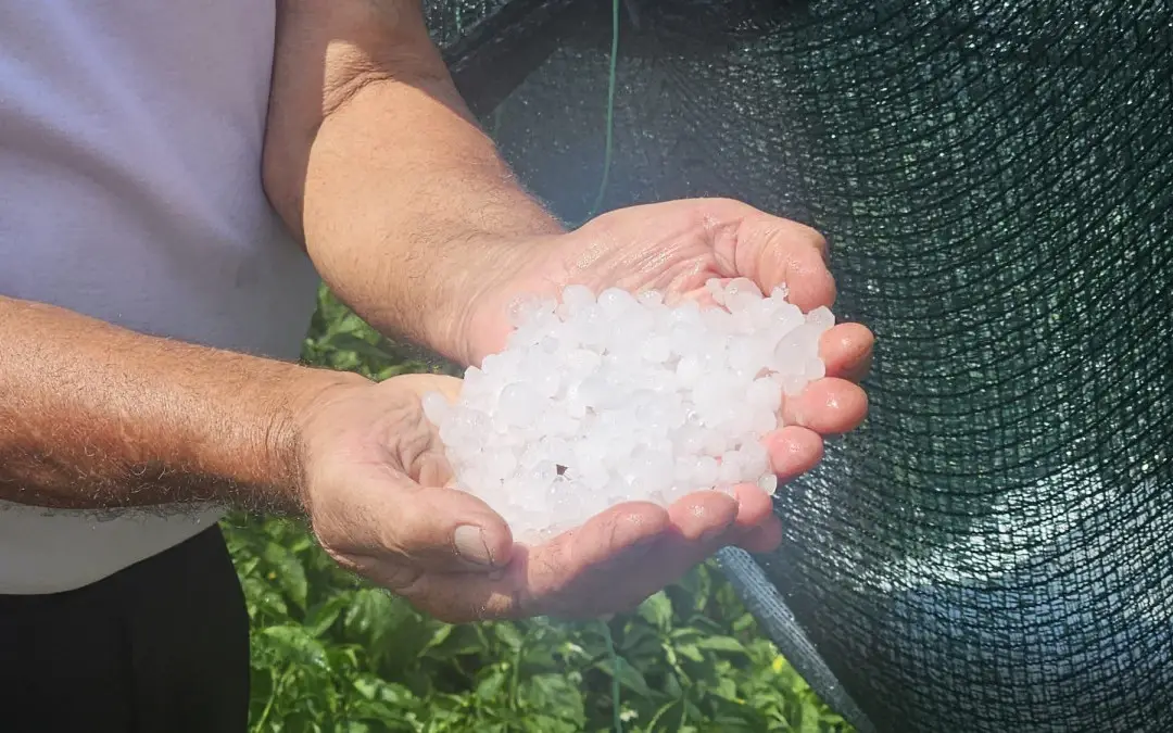 Jako nevreme opustošilo i sela oko Prijepolja: Meštani sabiraju štetu, a komisija za popisivanje kreću na teren