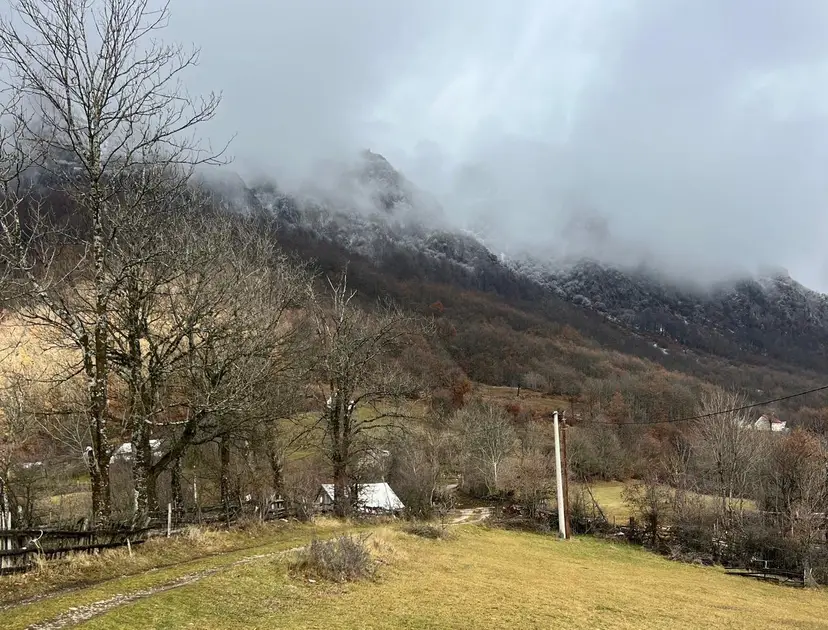 Medved krenuo na rendžere, oni morali da opale metak: Drama u selu kod Plužina, šumska zver prišla na samo par metara od kuće starije žene