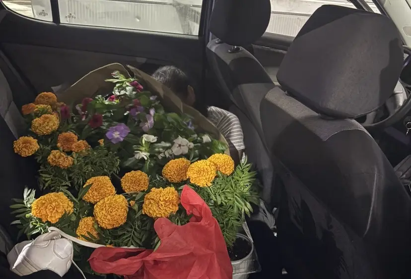 Zvuči neverovatno, ali istinito: Belgijanac pokušao da "prošvercuje" ženu iz Maroka prekrivenu buketom cveća (FOTO)