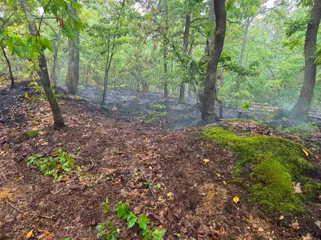 Veliki šumski požar kod Požege / foto: RINA