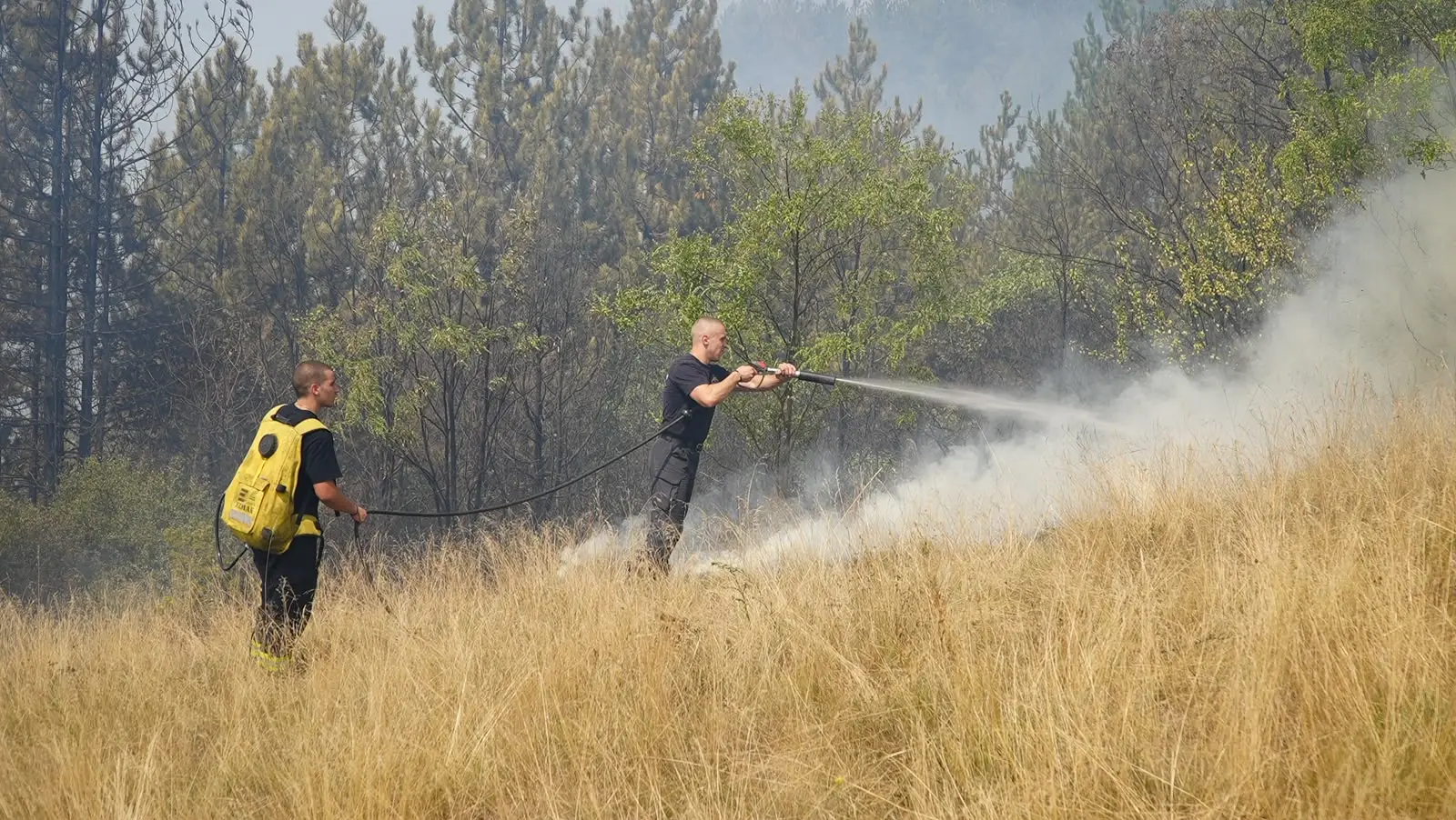 Samo jedan plamen može da proguta useve, mehanizaciju i domove: Ministarstvo uputilo hitan apel poljoprivrednicima – ne palite strnjiku