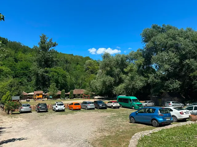 Prelepe plaže na reci Rzav pune kupača / foto: RINA