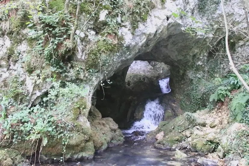 Puno je pećina u Srbiji, ali samo je jedna - vodena: Veličanstveni kanjon reke Panjice u svom toku krije jedinstveni prirodni biser (FOTO)