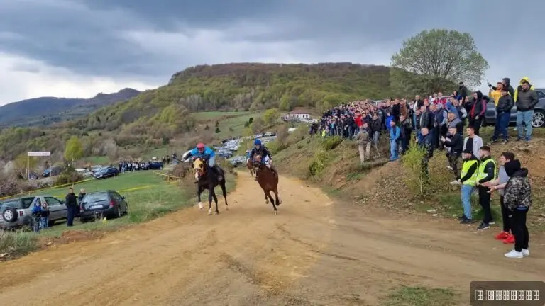 Gastarbajteri po ovoj manifestaciji "tempiraju" dolazak u rodni kraj: Trka konja na brdu iznad Brodareva okupila na hiljade ljudi, tradicija duga preko pola veka