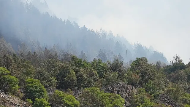 Helikopteri gase požare u dolini Ibra/ Foto: RINA