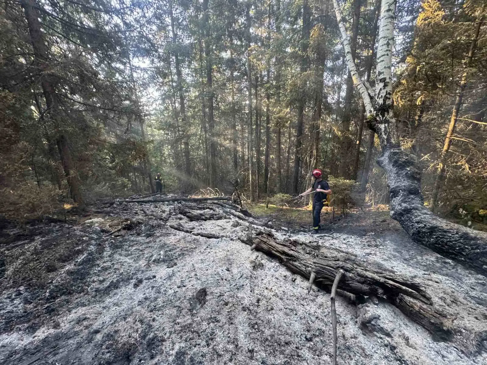 Gori šuma na srpskoj granici: Veliki požar na Kamenoj Gori, veliki broj vatrogasca -spasioca na terenu (FOTO)