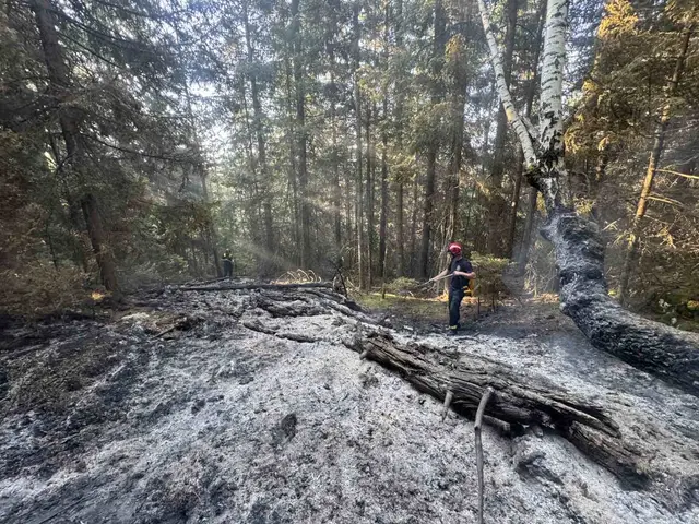 Veliki šumski požar na Kamenoj Gori / foto: RINA