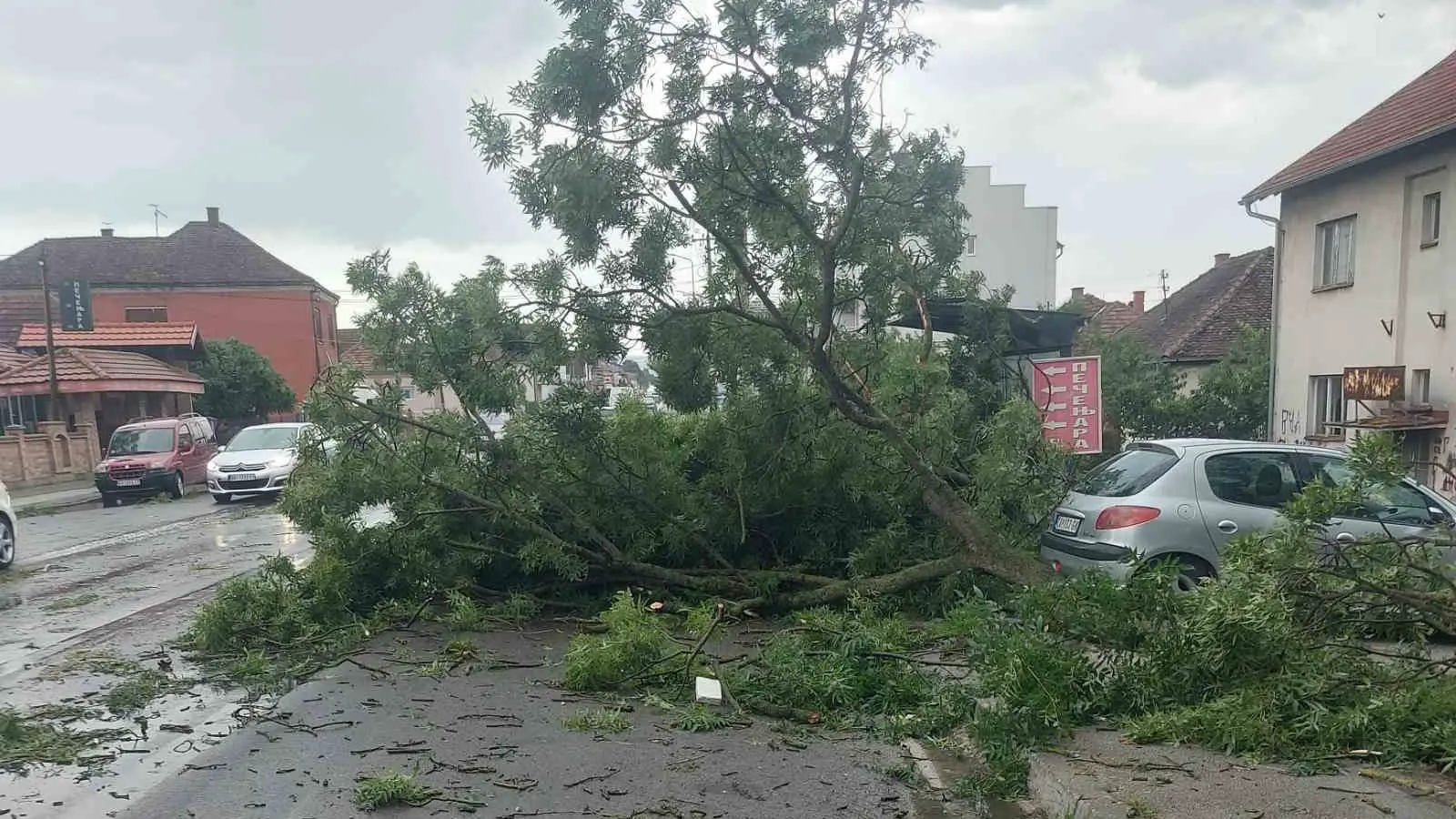 Jako nevreme pogodilo Kokin Brod: Drvo palo na put, saobraćaj se odvija otežano