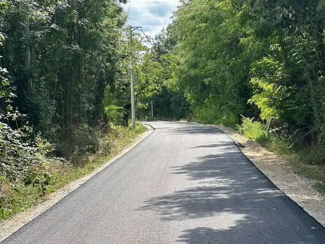 Zaseok Ilijak kod Čačka pun života / foto: RINA